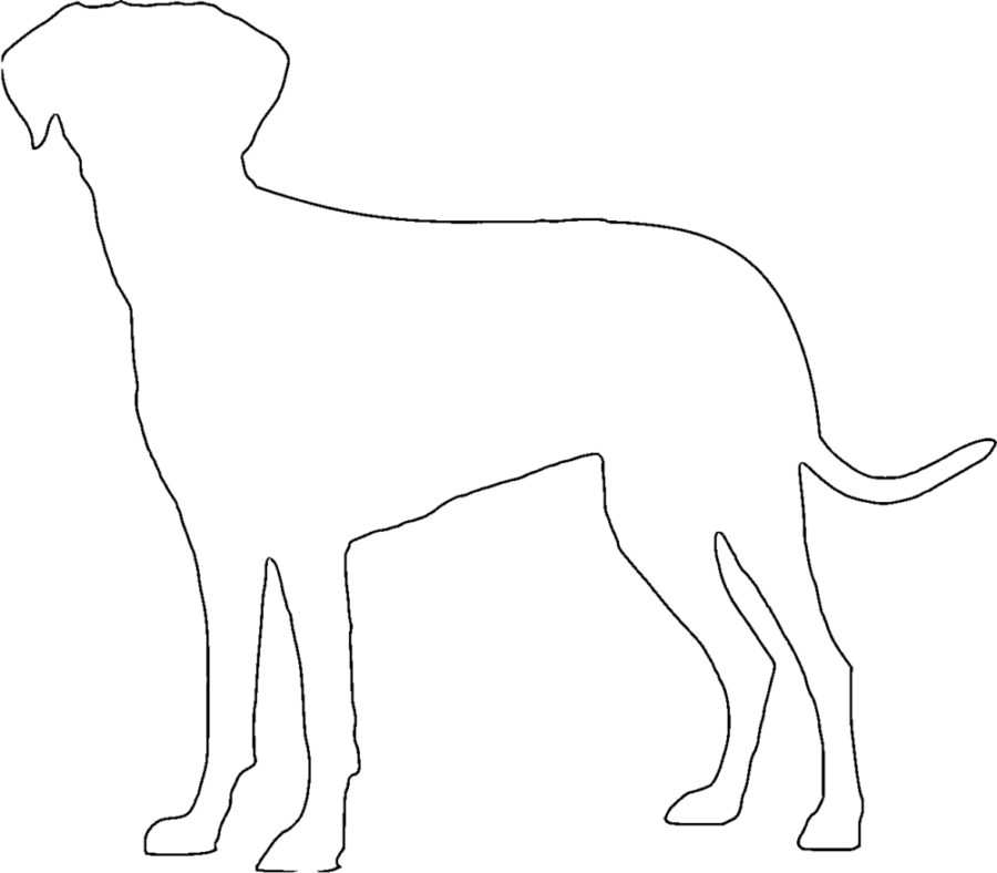 Rainbow Lake Traceable - Dog Silhouette Templates - Tracie Kiernan ...