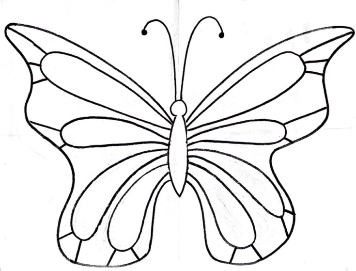 How To Draw A Butterfly - Easy - Step By Step Drawing Tutorial