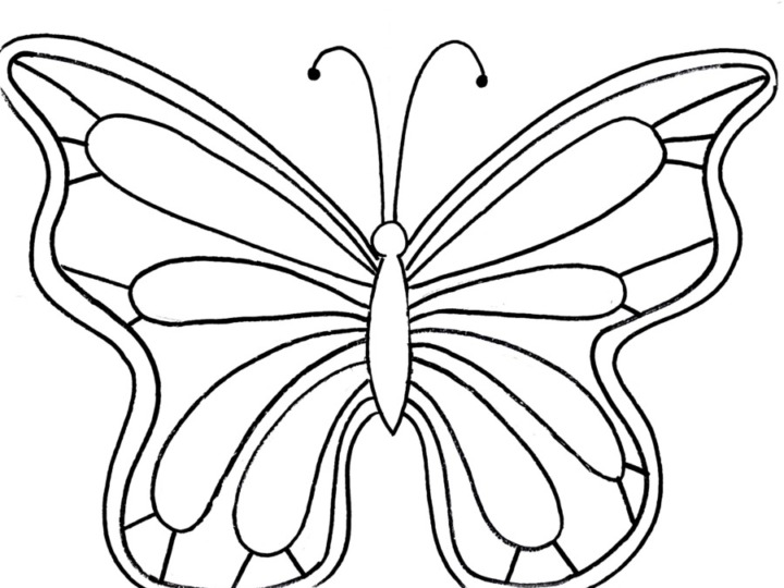 How To Draw A Butterfly - Easy - Step By Step Drawing Tutorial