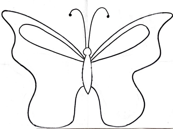 How To Draw A Butterfly - Easy - Step By Step Drawing Tutorial