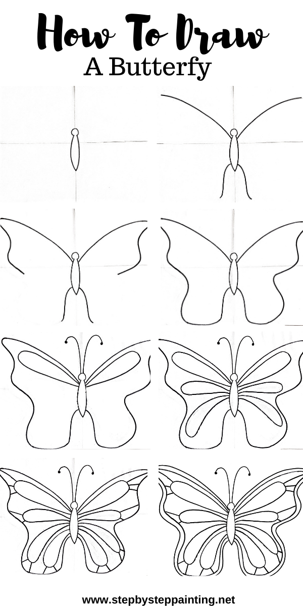 Step By Step Drawing Butterflies