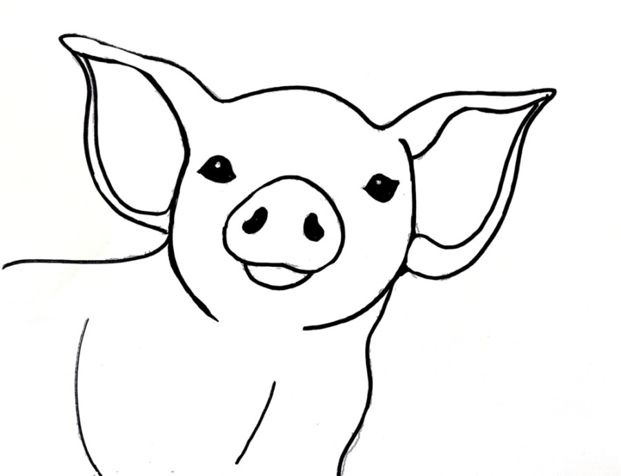 Traceable template for pig painting. 