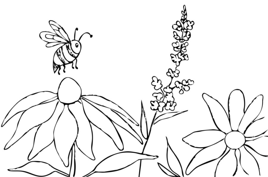 bee painting template