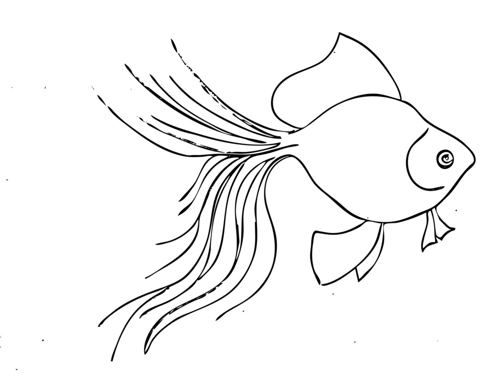 fish painting template