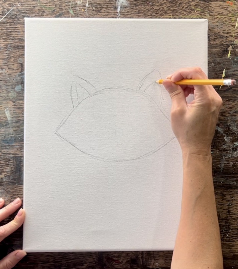 Cozy Fall Raccoon - Acrylic Painting Tutorial - Tracie Kiernan - Step ...