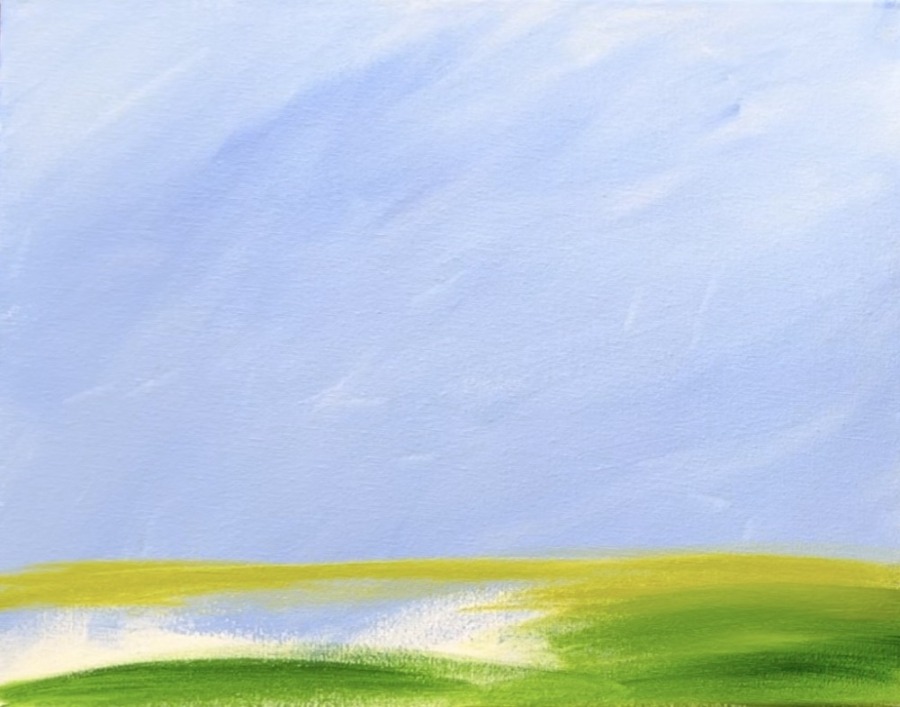 Turkey Acrylic Painting Tutorial Tracie Kiernan Step By Step